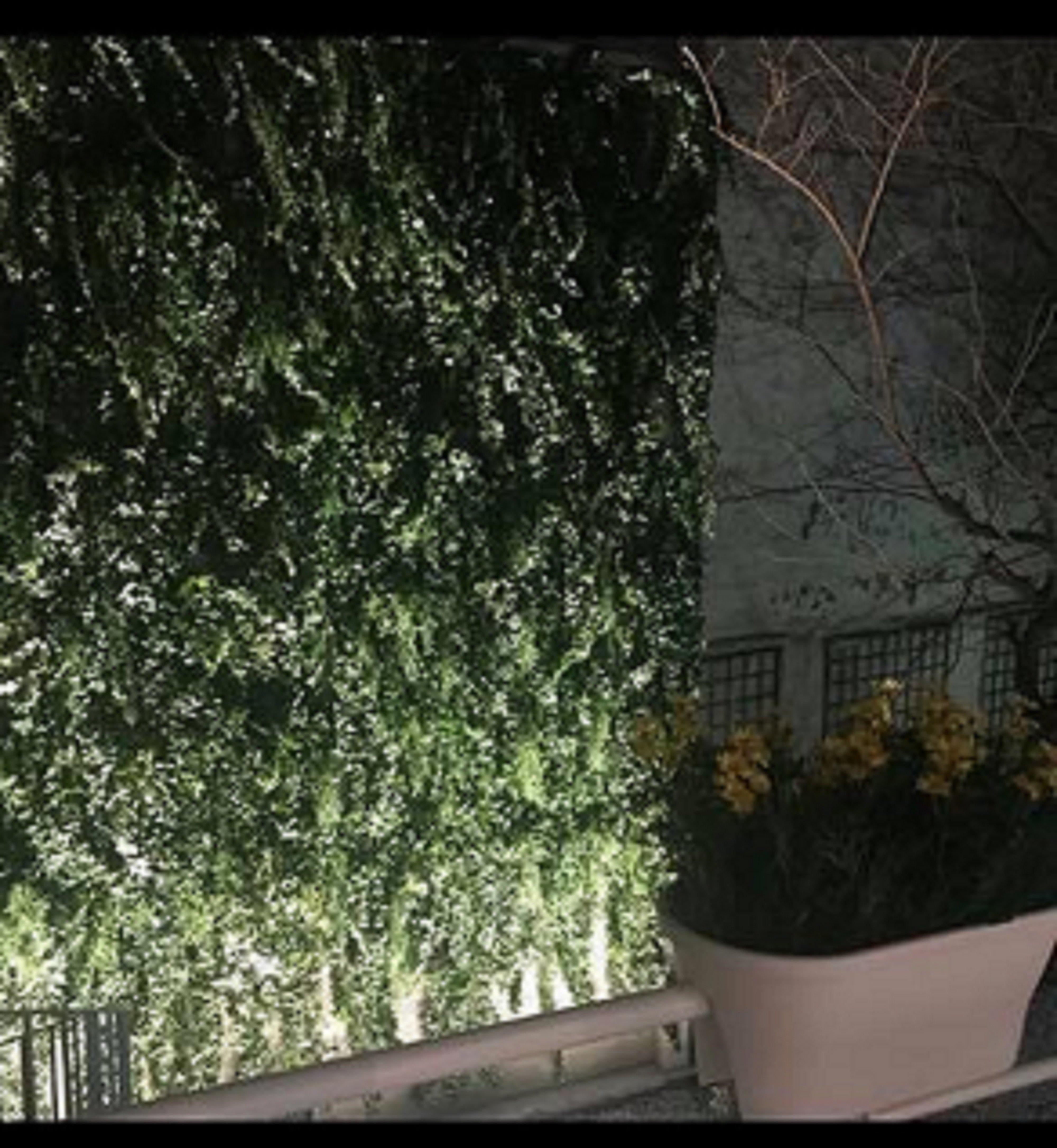 Holiday Inn Paris Montmartre By Ihg Exteriér fotografie